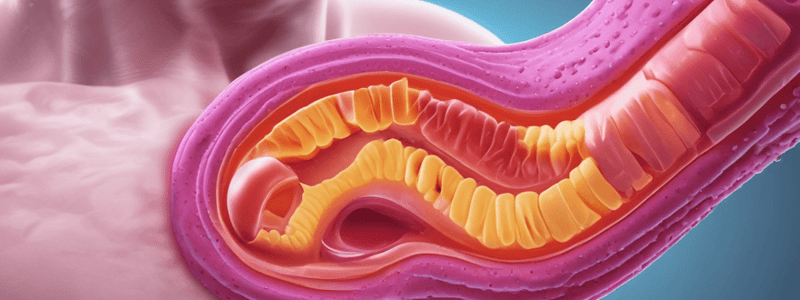 Peptic Ulcer Assessment: Perforation Signs