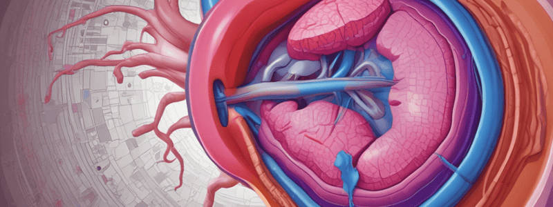 Secondary Hypertension and Renal Disease Quiz