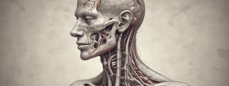 Intercostal Neuralgia Anatomy Lecture 13