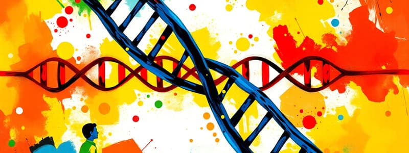 DNA Structure and Replication