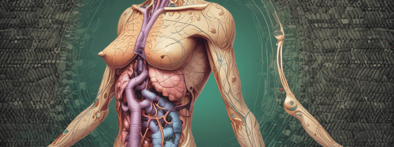 Endocrine: Thyroid Gland