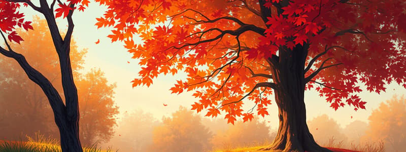 To Autumn by John Keats Quiz