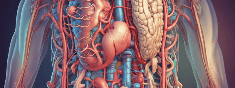 Digestive System and Hormones