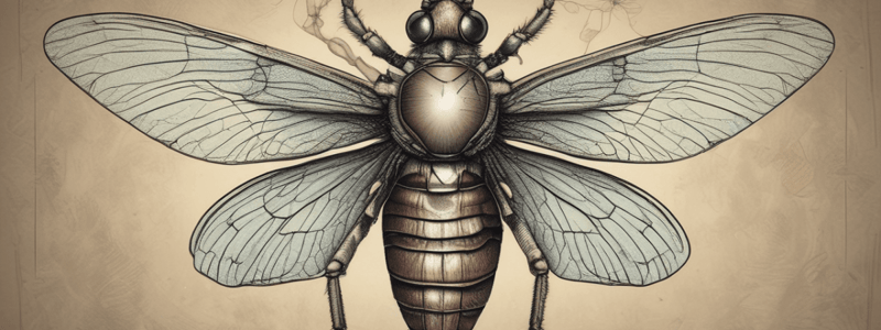 Introduction to Medical Entomology