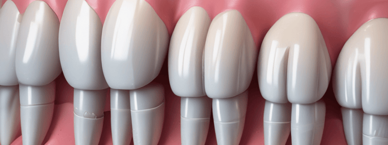 Dentistry: Abfraction and Occlusal Forces