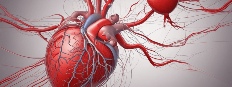 The Cardiovascular System Overview Quiz