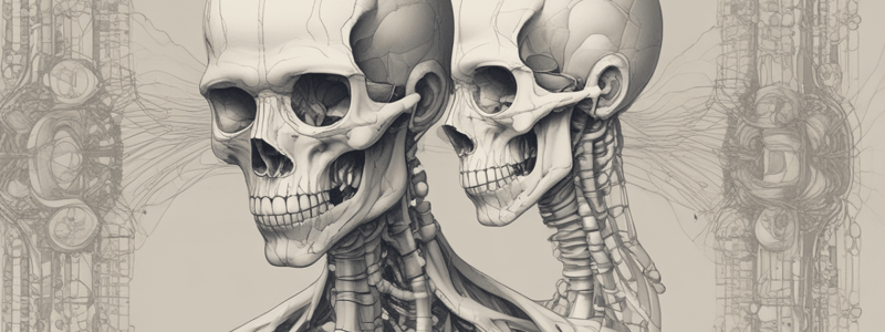 Anatomía del hueso iliaco y esternón