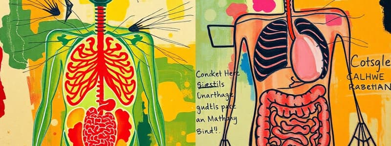 ABEKA Biology God's Living Creation Test 4