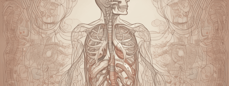 Respiratory Mechanics