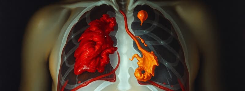 Pulmonary Contusion Overview