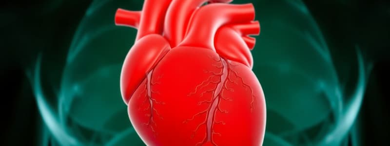 Cardiac Afterload and Heart Chambers