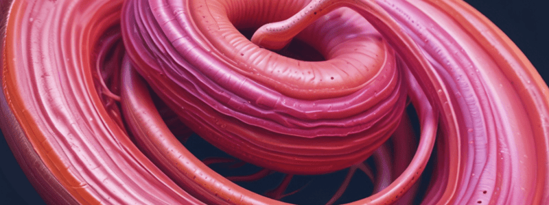 Ciclo de Vida de Schistosoma mansoni