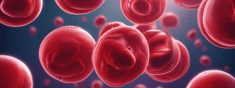 Red Blood Cells Function and Production