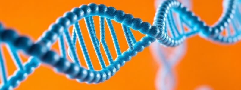 DNA Replication Overview and Meselson-Stahl Experiment