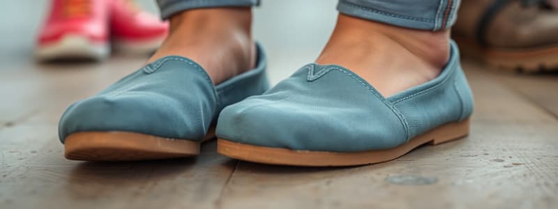 TOMS Cost Efficiency and Social Objectives