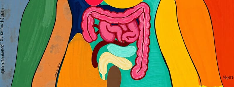 Human Digestive System Quiz