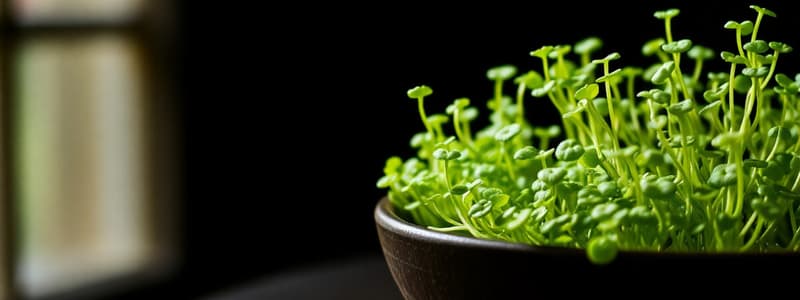 Microgreens Basics Quiz