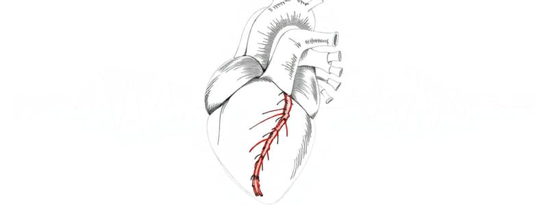 Fisiologia Cardiaca e Legge di Frank-Starling (Fisiologia 23)