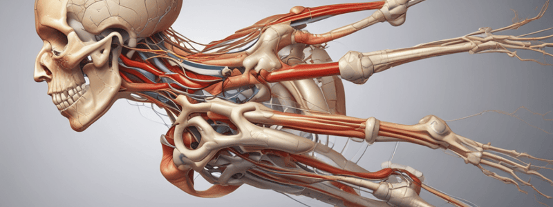 Nerve Injuries in the Upper Limb