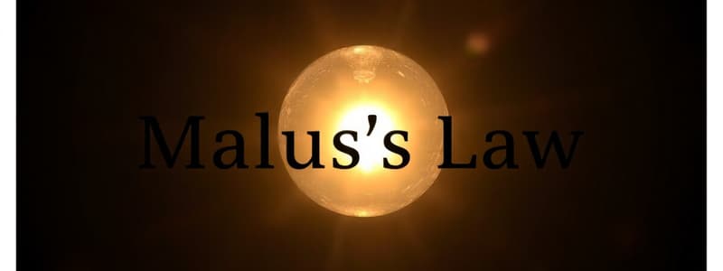 Malus's Law and Polarization of Light