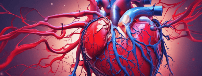 Blood Flow Through the Heart Quiz