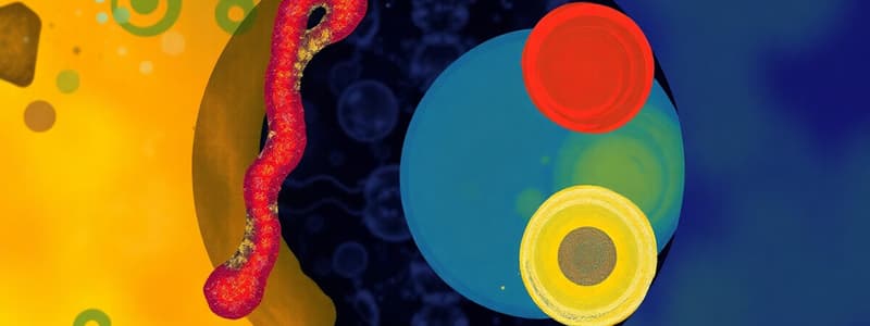 Cell Biology: Chromosomes and Mitosis