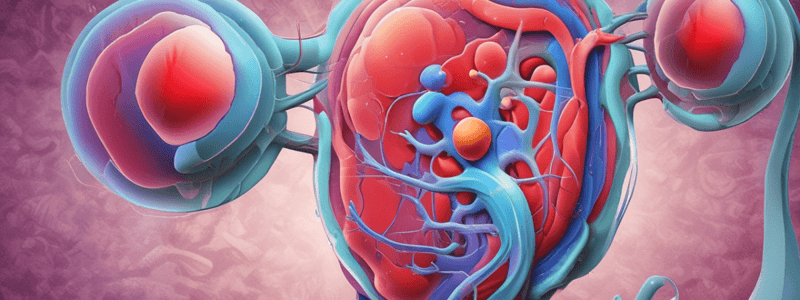 Aldosterone and Alpha Intercalated Cells