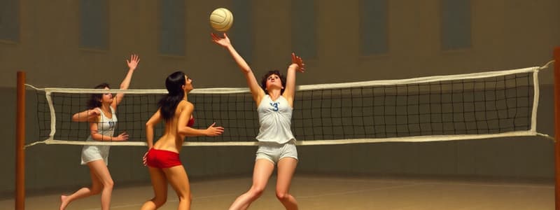 Volleyball: History, Rules and Team Composition