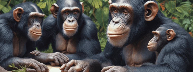 Chimpanzees' Short-Term Memory vs Human Language Evolution