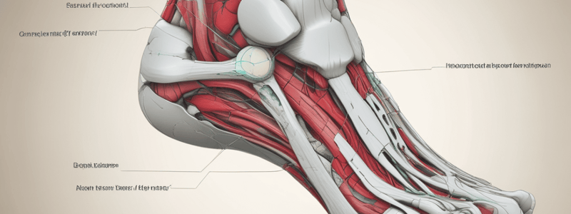 Foot and Ankle Function Quiz