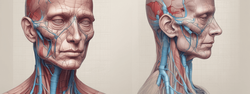 Internal Medicine: Venous Anatomy