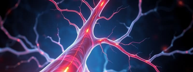 Neuromuscular Junction: Lectures 1-2