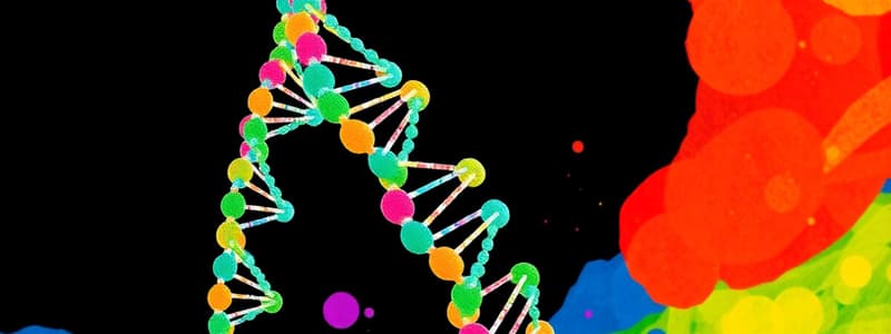 DNA Replication in Eukaryotes and Prokaryotes