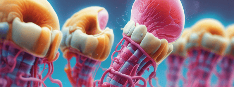 Hyperplasia in Dentistry Quiz