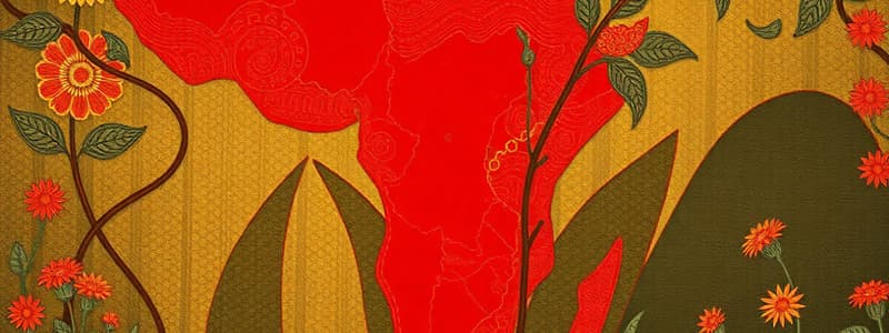 The Chinese-African Relationship Overview