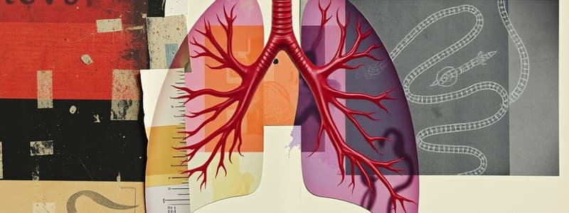 Aparato Respiratorio - Biología 10°