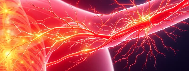 BLOCK 3: AHE: (3.3) PERIPHERAL NERVOUS SYSTEM