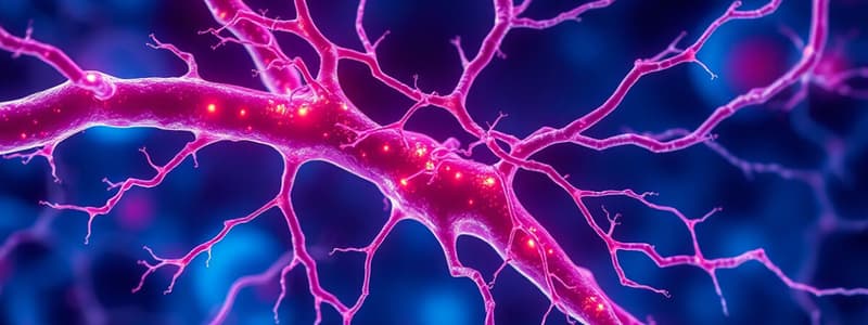 Neuroscience Quiz on Myelin and Neurotransmitters