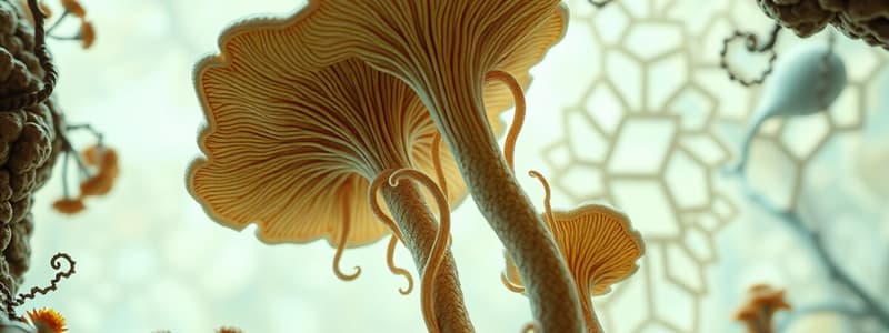 Structure and Function of Fungi