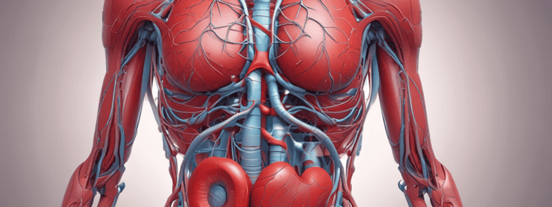 Cuore e Vasi Sanguigni Anatomia e Fisiologia