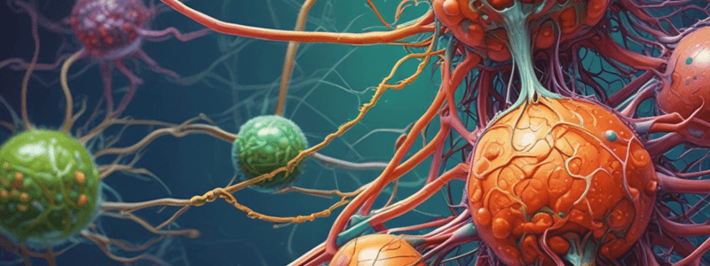 The Lymphatic and Immune System Chapter 21 Quiz