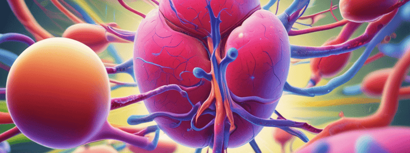 Kidney Regulation of Phosphate Concentration Quiz