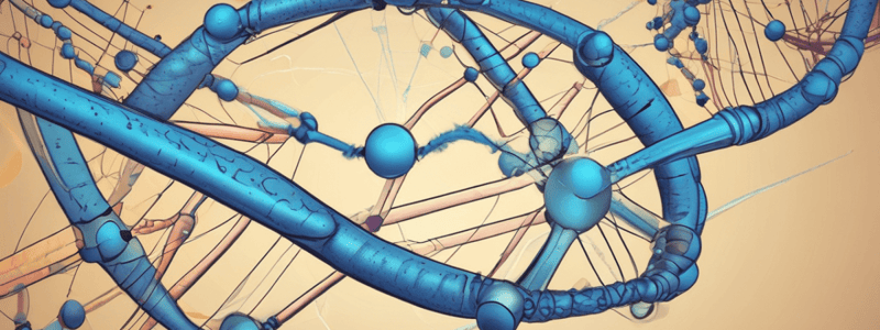 PCR Technique and 16S rDNA Gene Detection