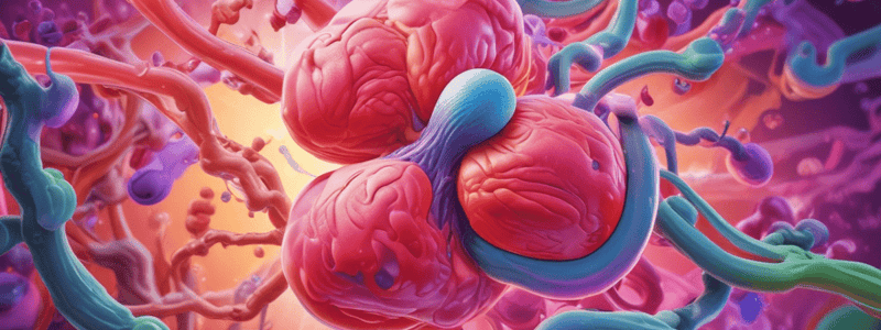 Renal Drug Elimination Pathways Quiz