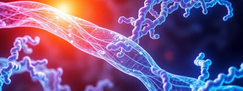 Biochemistry Chapter: Muscle and Muscle Proteins