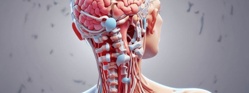 Neurological Testing in Cervical Pain Physiotherapy Quiz