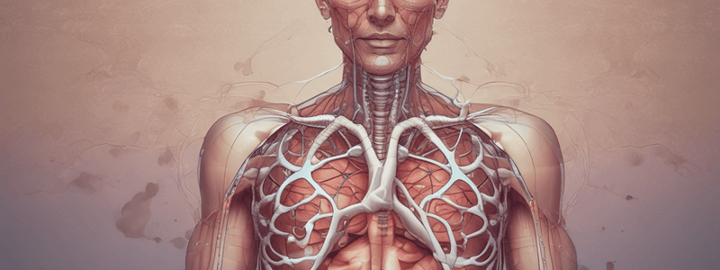 Introduction to the Respiratory System