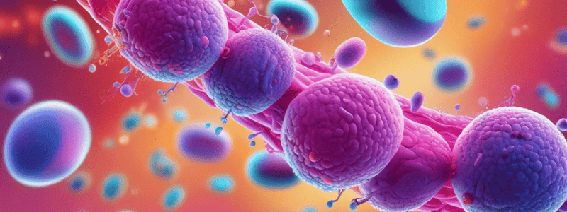 Antimicrobials V β-Lactam Antibiotic Resistance Quiz