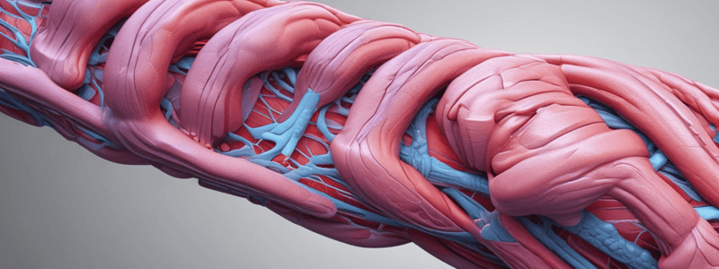 Ch 12 part 1 Muscle Structural Proteins Quiz