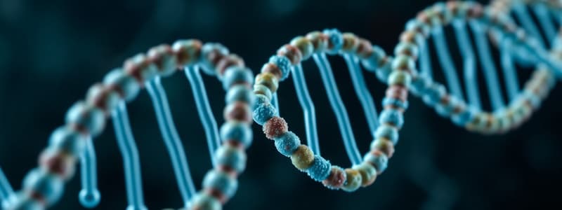 DNA Structure and Nucleotide Basics